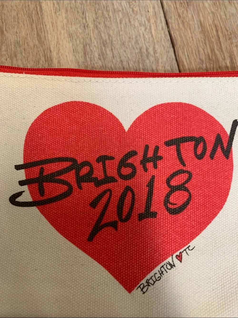 Brighton Canvas Cosmetic Pouch with Fashion-Illustration and Red Zip